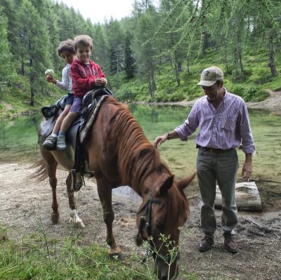 Approach to horses