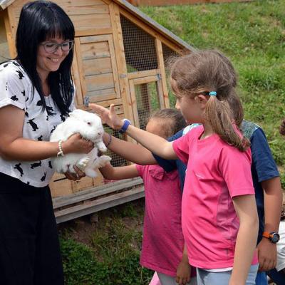 Educational farms