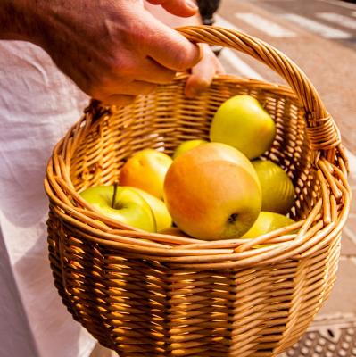 The apples of the Valsugana