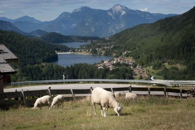 Laghi di Pinè: Piazze e Serraia